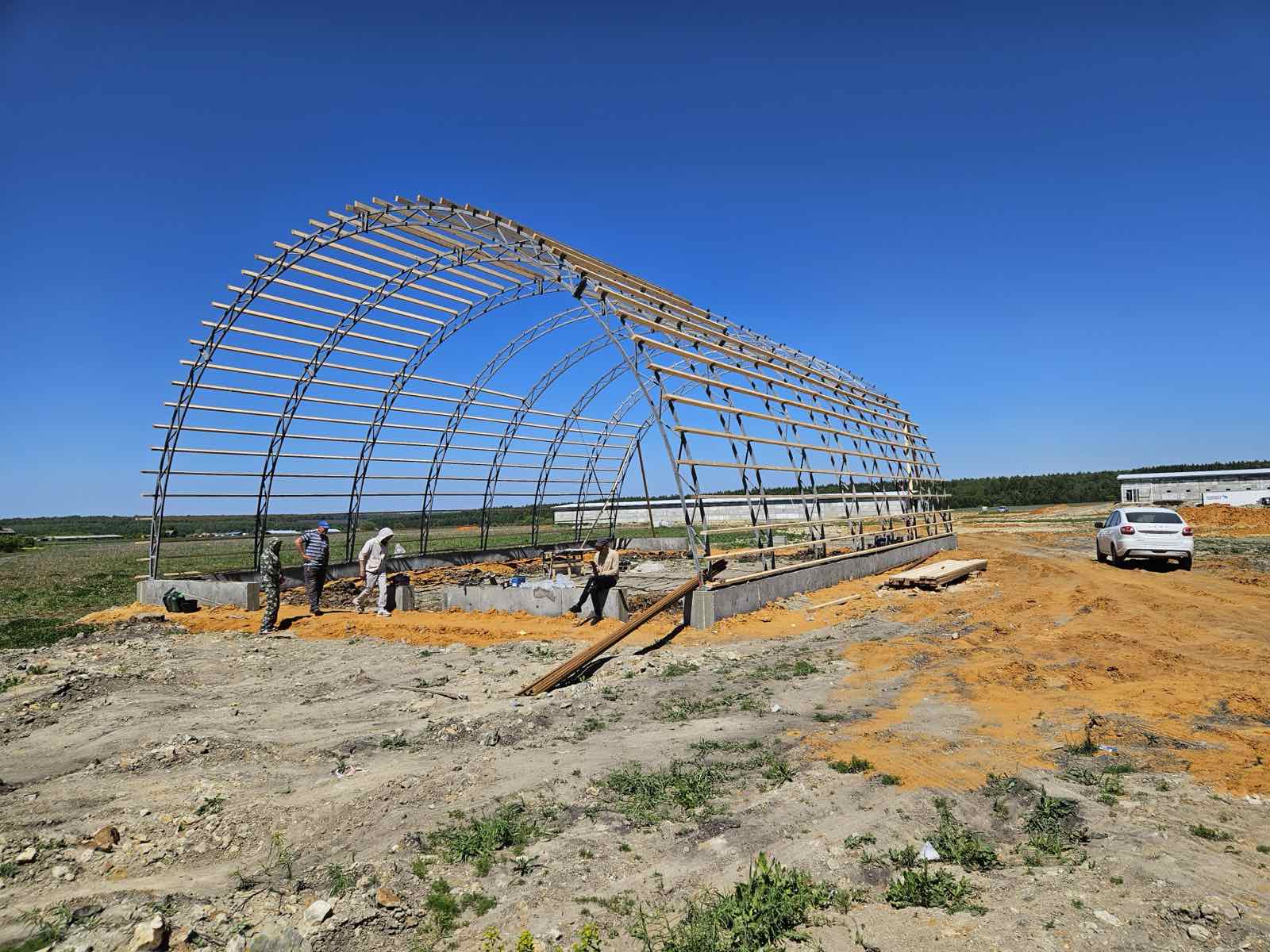 Дезбарьер для птицефабрики